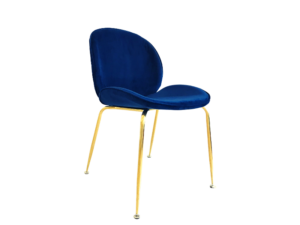 Designer dining chair Modern chair Metal and cushion chair
