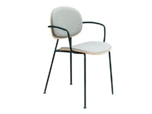 Arm-Cushion-Seat-Chair , Dining-Furniture , Divolo-Arm-Chair